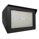 Envision LED-ARL3-ARC-3P300-TRI-BL-UNV-PC Large Architectural Flood: Arcy-Line, 300/240/180w, Black