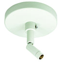 Sloped Ceiling Canopy for Track Pendant Kits, Black Finish
