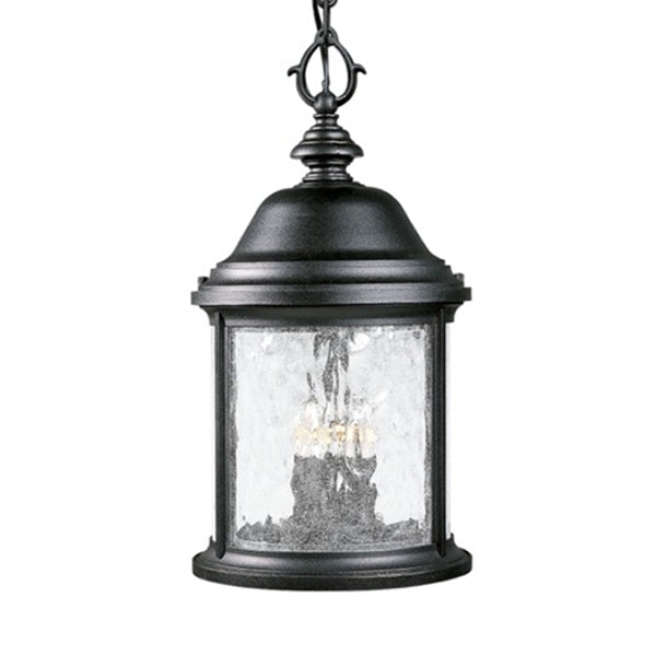 Progress Lighting P5550-31 Ashmore 3-Light Outdoor Hanging Lantern with Clear Seedy Glass Shade, Textured Black