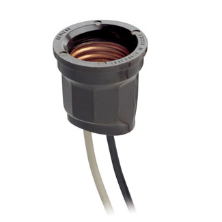 Leviton 157 Switches & Receptacle