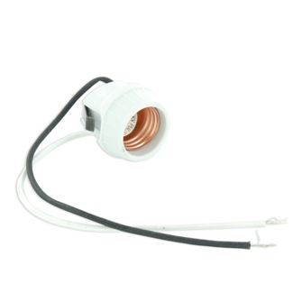 Leviton 18876 Switches & Receptacle