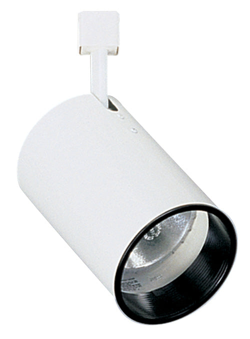 PAR 30 Line Voltage Flat Back Cylinder Track Fixture with Baffle
