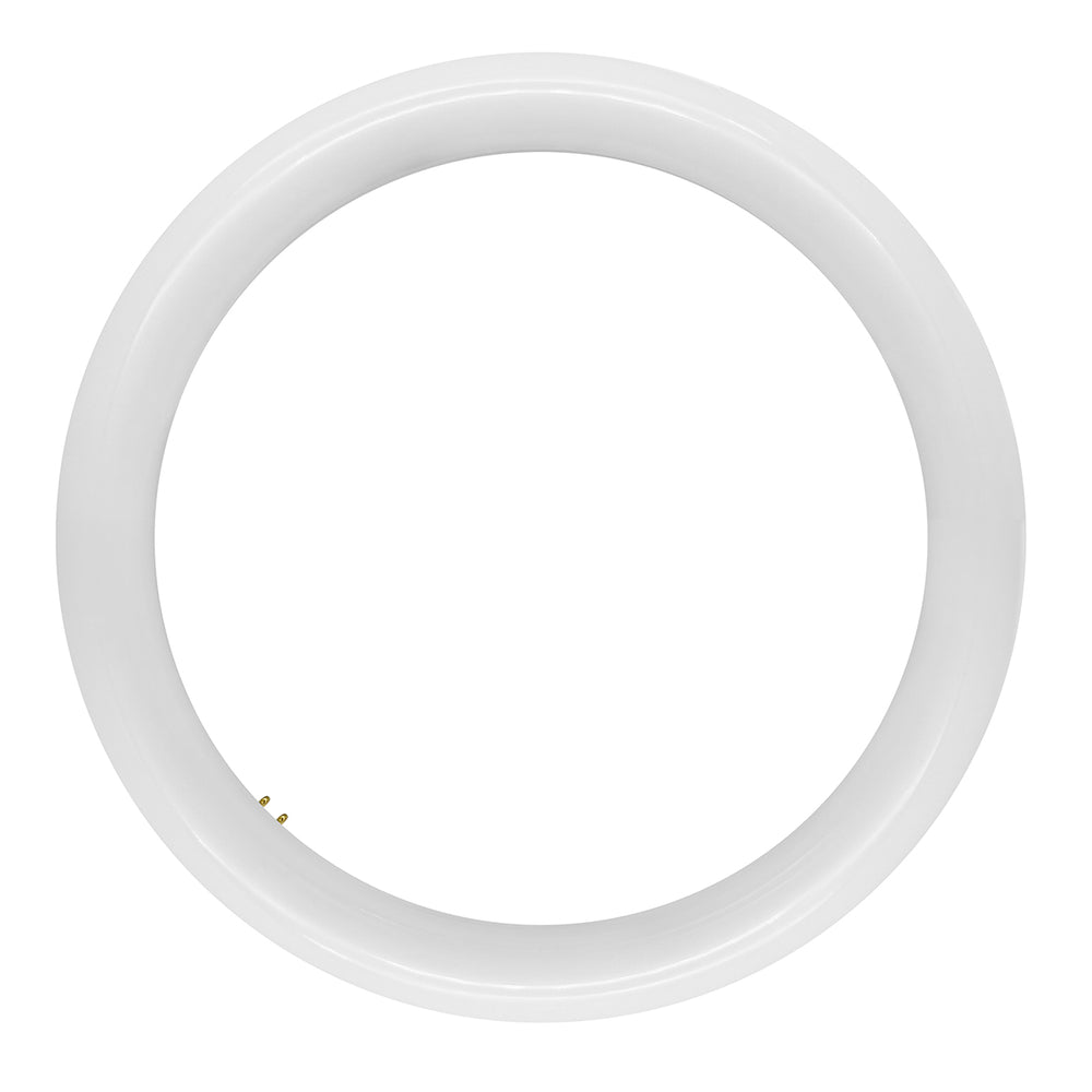 Envision LED-T9-DF-12I-16W-4CCT T9 12" Cicline Glass + PC Coating TRIPLE FIT Ballast, or AC Direct Single/Double (FROSTED LENS)
