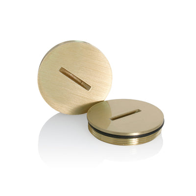 Leviton 25249-CAP Replacement Screw Cap With O-Ring For Duplex Floor Box. Brass With Clear Coating. For use with the following