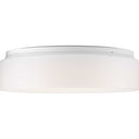 Progress 114070 P730002-030-30 Drums and Clouds 1-Light 13-1/2 in LED Flush Mount, White