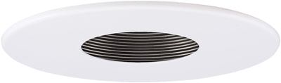 4" Adjustable Pinhole with Baffle Trim