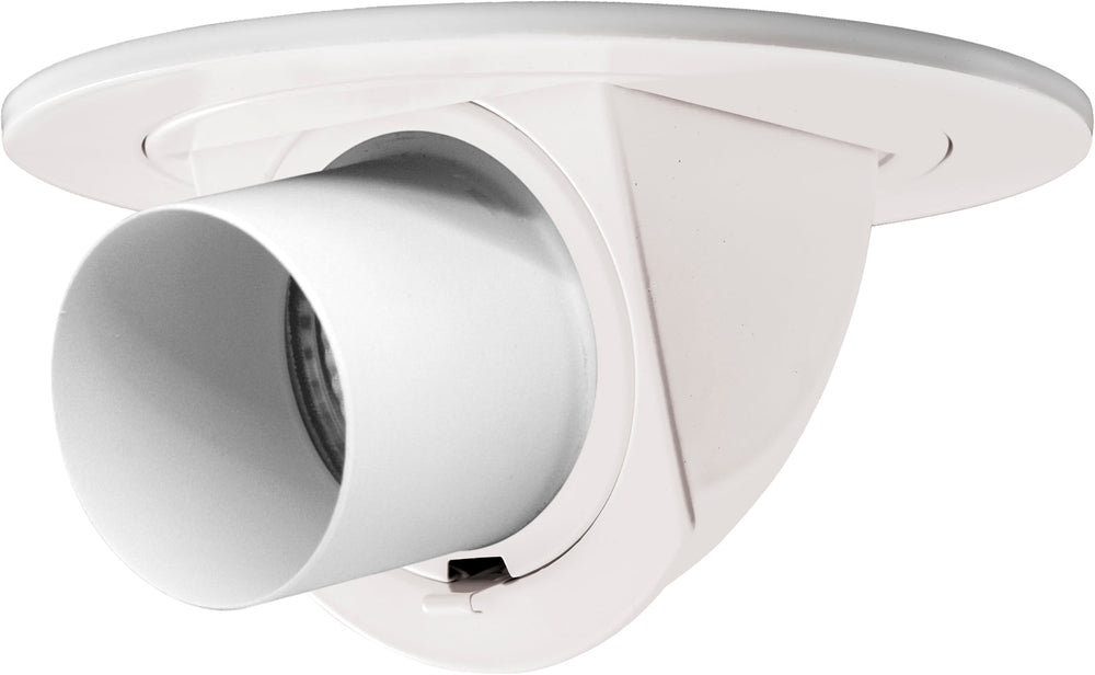 4" Adjustable Pull Down with Directional Snoot Trim