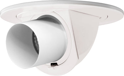 4" Adjustable Pull Down with Directional Snoot Trim
