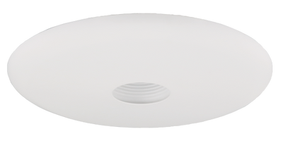 6" Baffle with Pinhole Trim