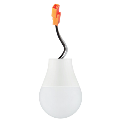 Contractors LED Lamp