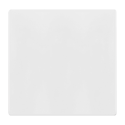 Screwless Blank Two-Gang Wall Plate