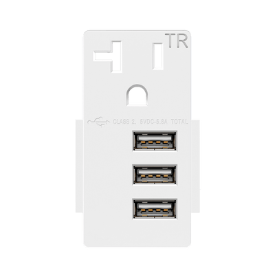 Three Type-A USB 20A Module