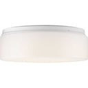 Progress 119359 P730005-030-30 Drums and Clouds 1-Light 11 in LED Drum Flush Mount, White