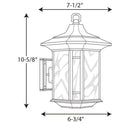 Progress 6998 P5629-46 Arts and Crafts 1-Light 10 in Outdoor Wall Lantern, Weathered Bronze