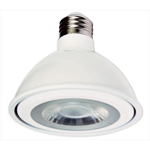 120V Short Neck PAR30 LED Lamp E26
