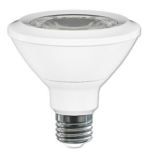 PAR30 LED Lamps 10W 3000K